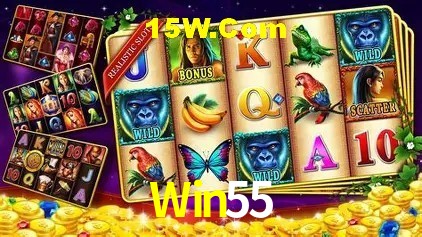 Sistemas de Segurança Win55